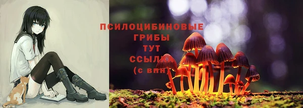 гидра Балахна